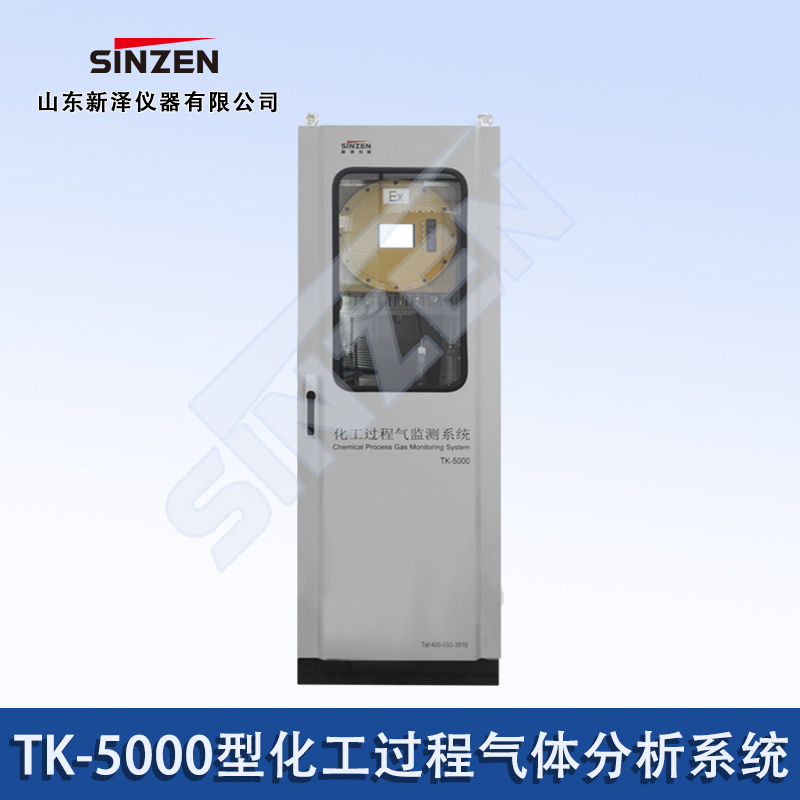天然气过程分析系统