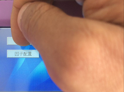 选择因子配置