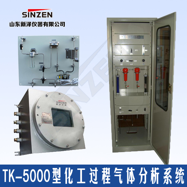 新泽仪器TK-5000型天然气过程分析系统