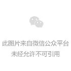 环保部长陈吉宁在昨日的新闻发布会上做了哪些承诺？